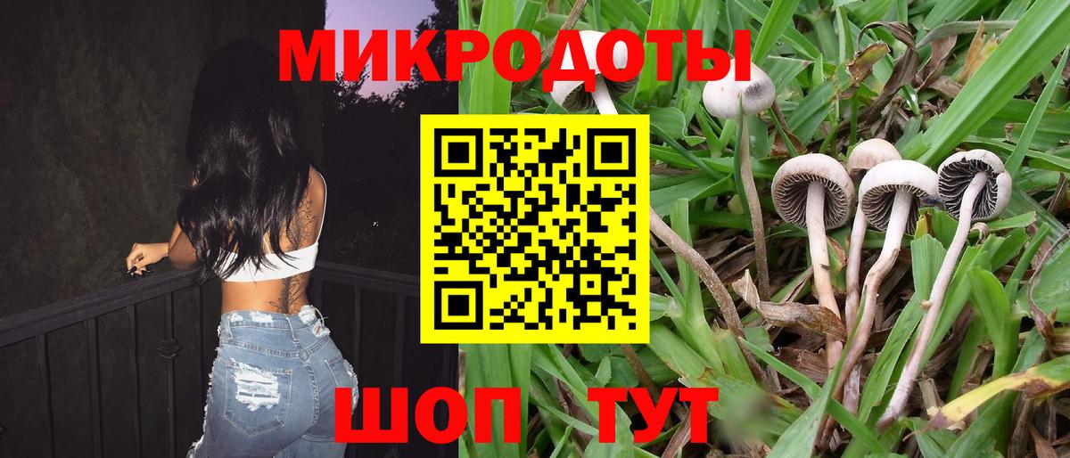 Галлюциногенные грибы мицелий Лабинск
